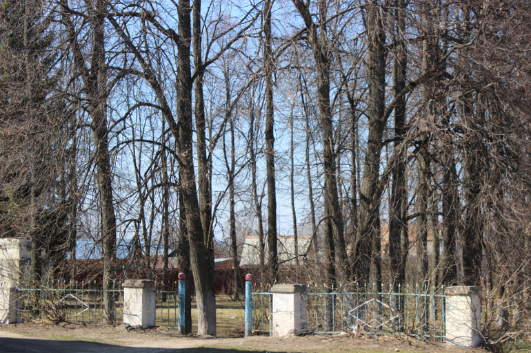 Сурск, садики, домишки и Ленин