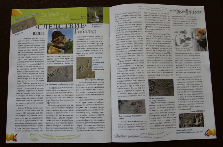 Журнал "Костер"