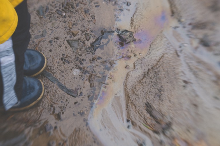 Такой Шотландию вы еще не видели