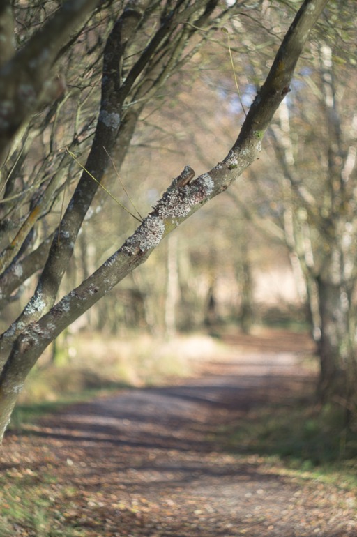 Фокус не ищите