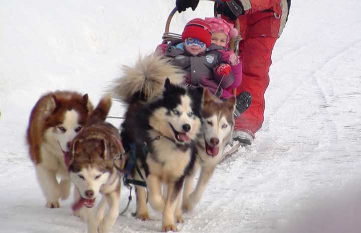 Отличная программа на Новый Год для всей семьи с посещением Санта Клауса