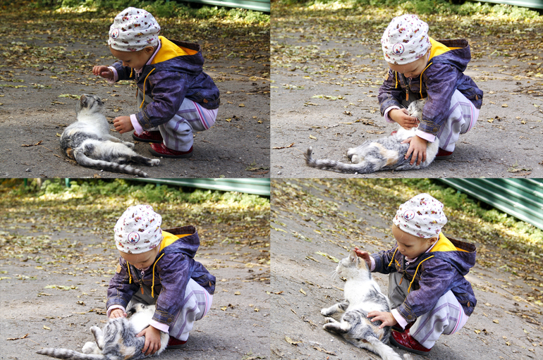 b6b0813493519fffc306dc86ec7418be.jpg