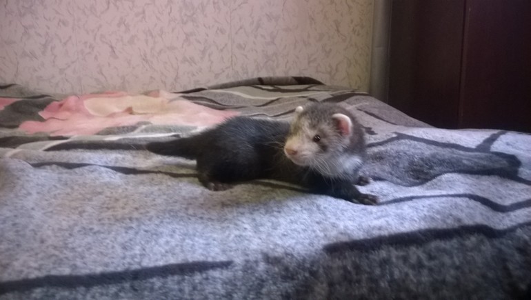 Наши малыши)