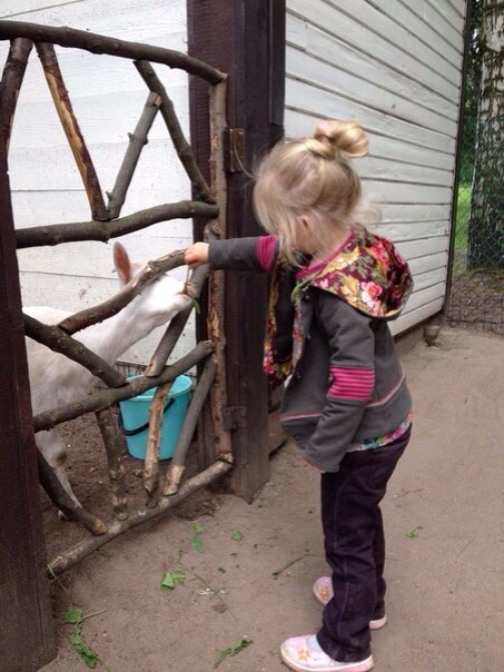 Kenzo 4-5 лет. СПб