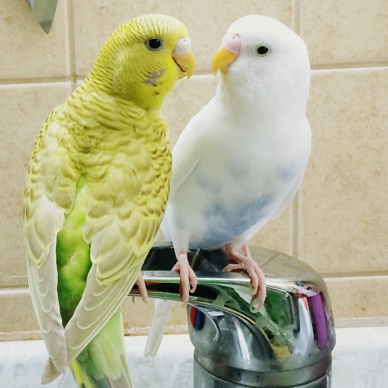 a8a028623cfe4903a28ec036d996af12.jpg