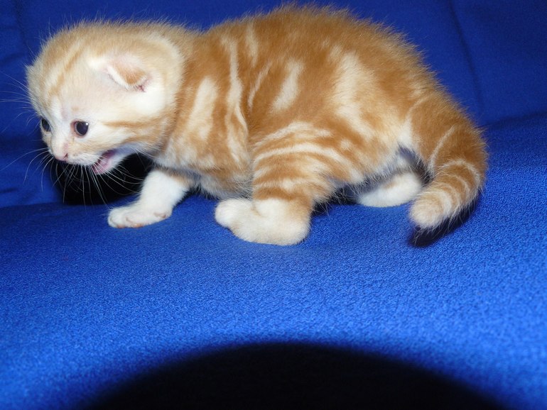 Наши малыши!