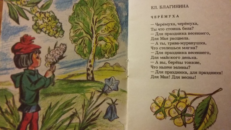 Песня в книжке старой старой. Детская книжка Старая кустики форточка.