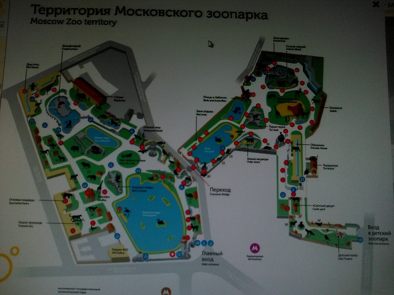 Карта московского зоопарка 2022