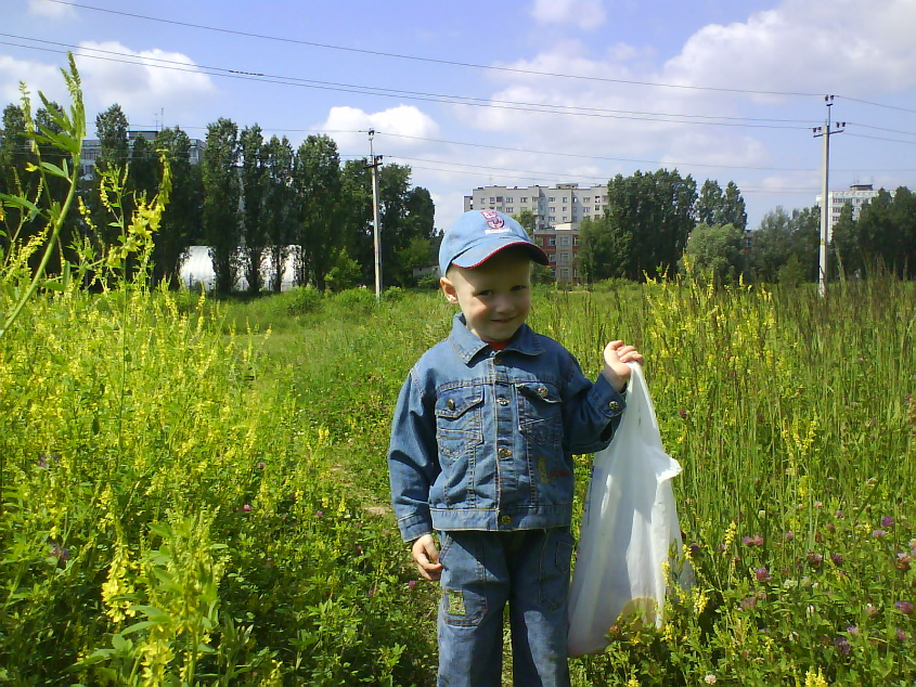 Картинка