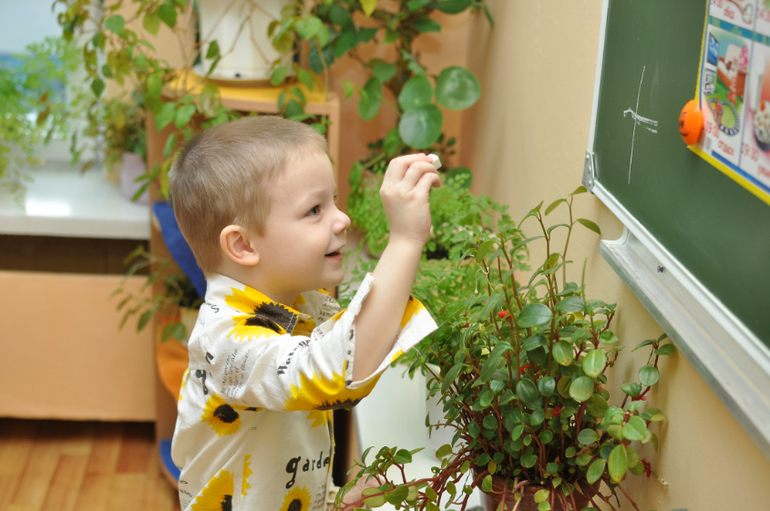 Наши садовские денечки