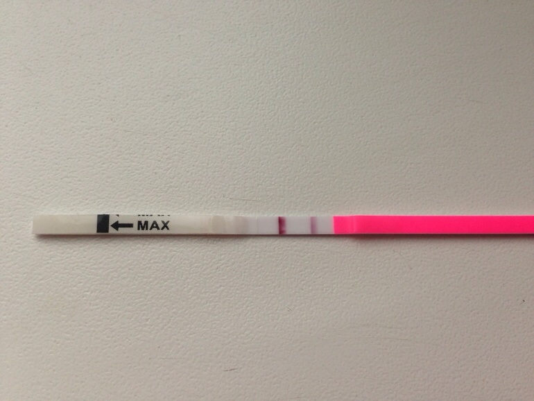 Вот так тест на овуляцию показывает беременность