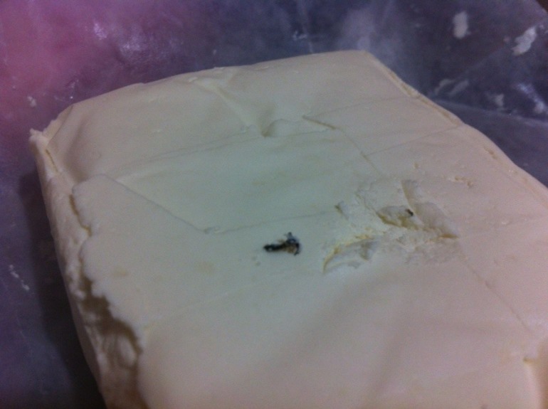 Творог с жуками не хотите?!?!