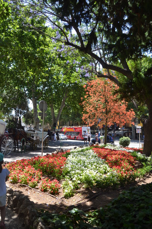 Снова о Майорке.