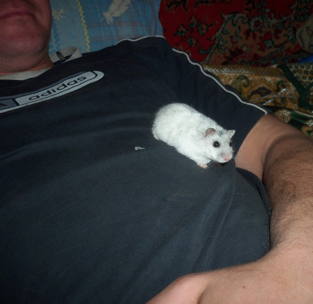 Плюша.✿◠‿◠)