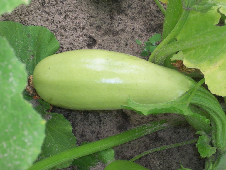 Уж и не знаю какое название придумать для очередного своего поста)))