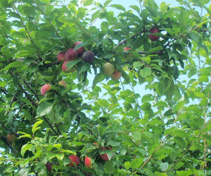 Продолжение следует)