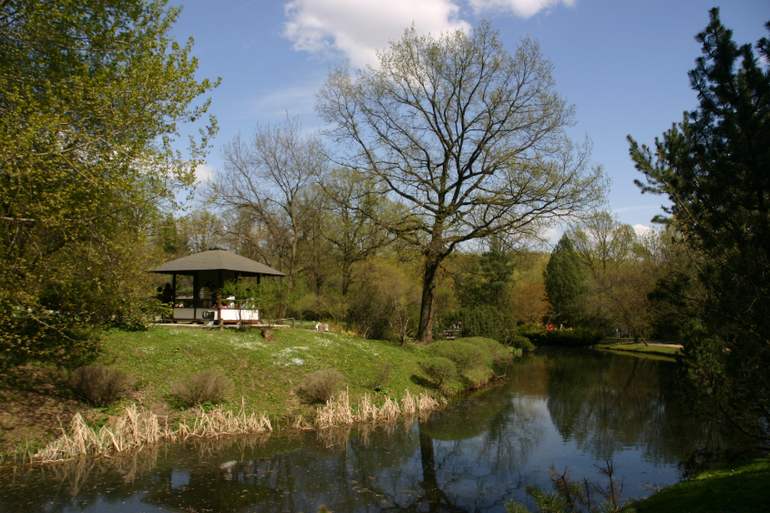 Японский сад.