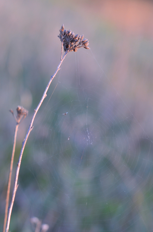 Моя малая Родина..