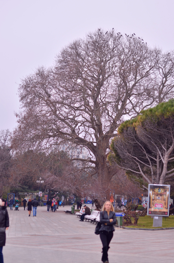 Ялта,набережная,февраль)