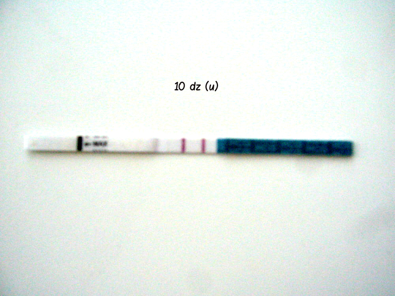 01cea441ce7dca1b68b2ed99d6d24a22.jpg
