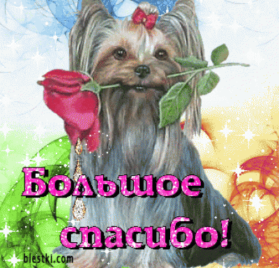 ad768aa0b626b013ab8cb6692e8864ef.gif