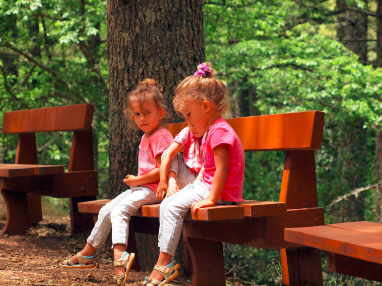 Что посмотреть на Кипре. Кедровая долина