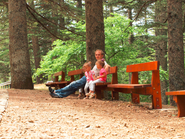 Что посмотреть на Кипре. Кедровая долина
