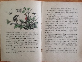 Букинистика. Нечаянная радость