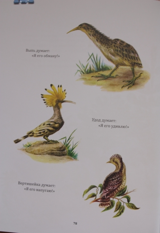Репортаж со стадиона