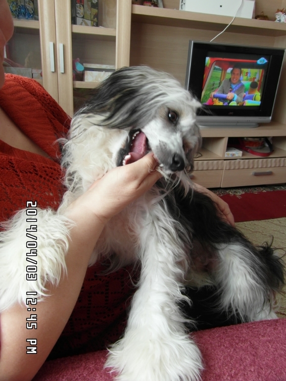 Скоро год как у нас появилась еще одна дочка)