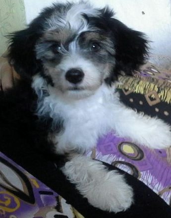 Скоро год как у нас появилась еще одна дочка)