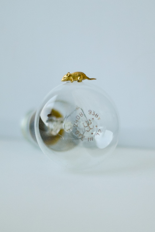 А у вас есть кошельковая мышь?