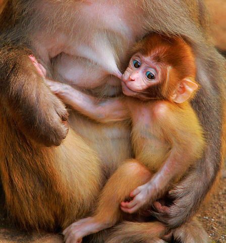 Думаю, знакомо многим мамам ))