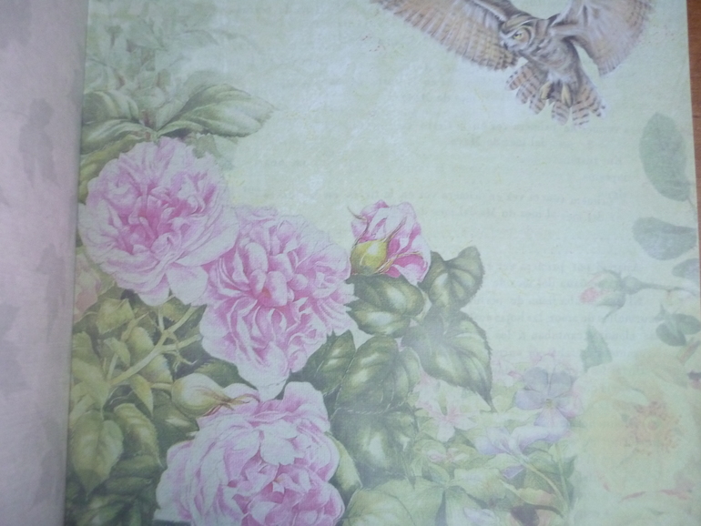 Наборы бумаги с совами