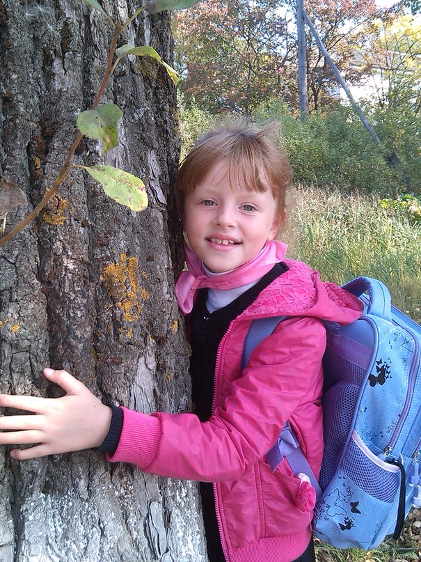 Картинка