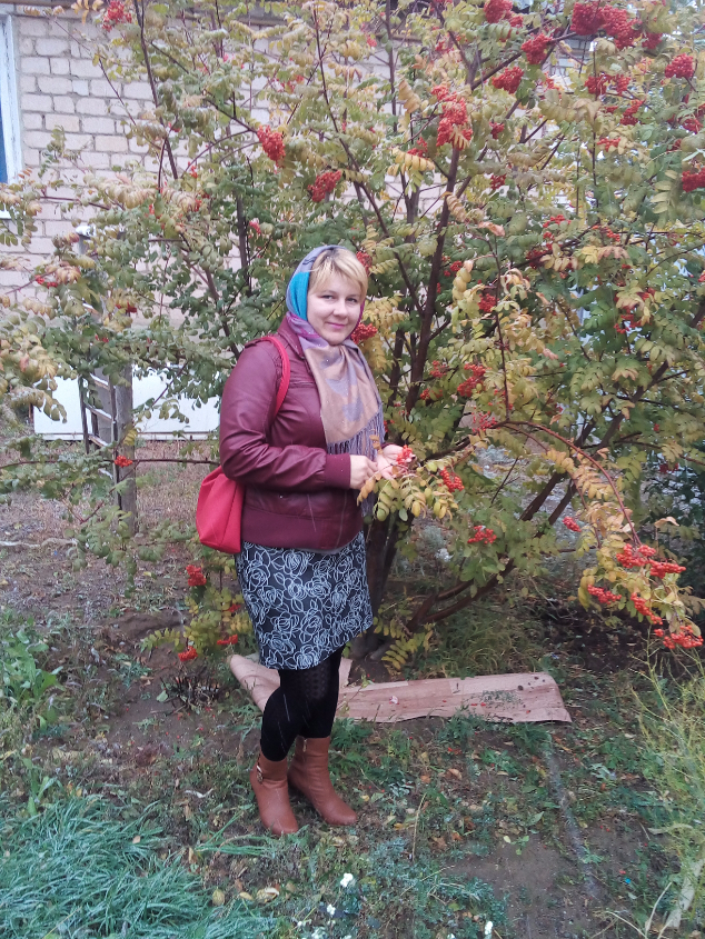 Картинка