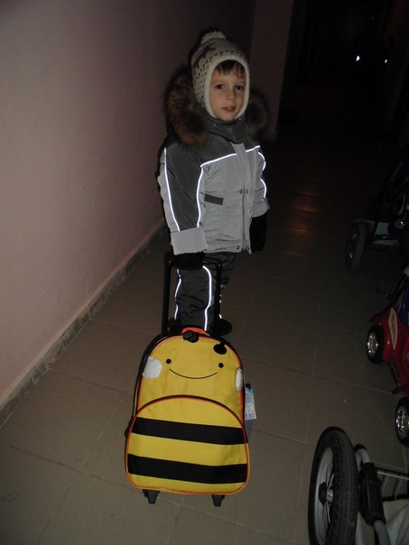 Zoo Luggage детский чемодан на колесах с выдвижной ручкой. 1550р
