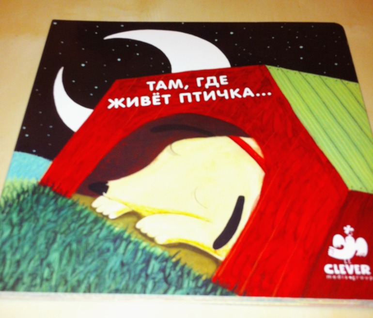 Книжки игрушки-картонки. 1 год и 5 месяцев.