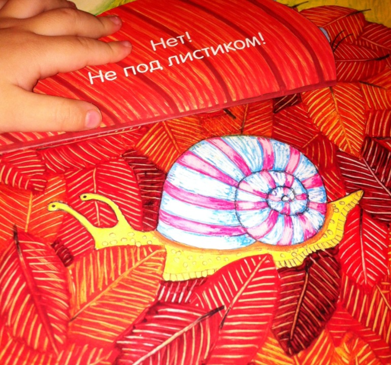 Книжки игрушки-картонки. 1 год и 5 месяцев.