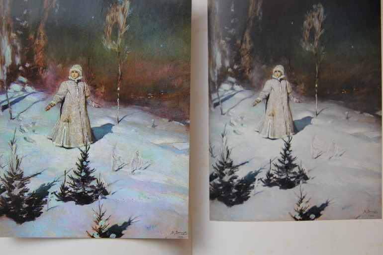 Васнецовы: Юрий, Елизавета и Виктор Михайлович