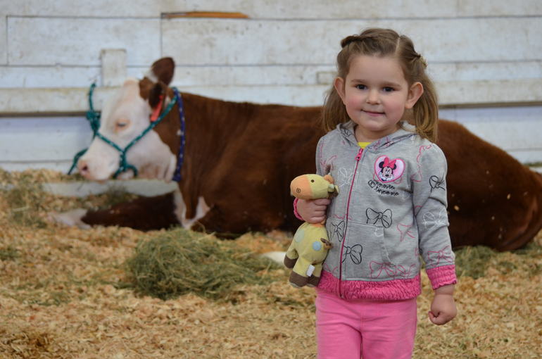 И вновь наши замечательные выходные!