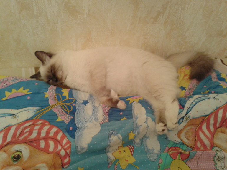 Наша Есения.