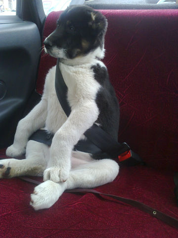 Безопасность превыше всего )))