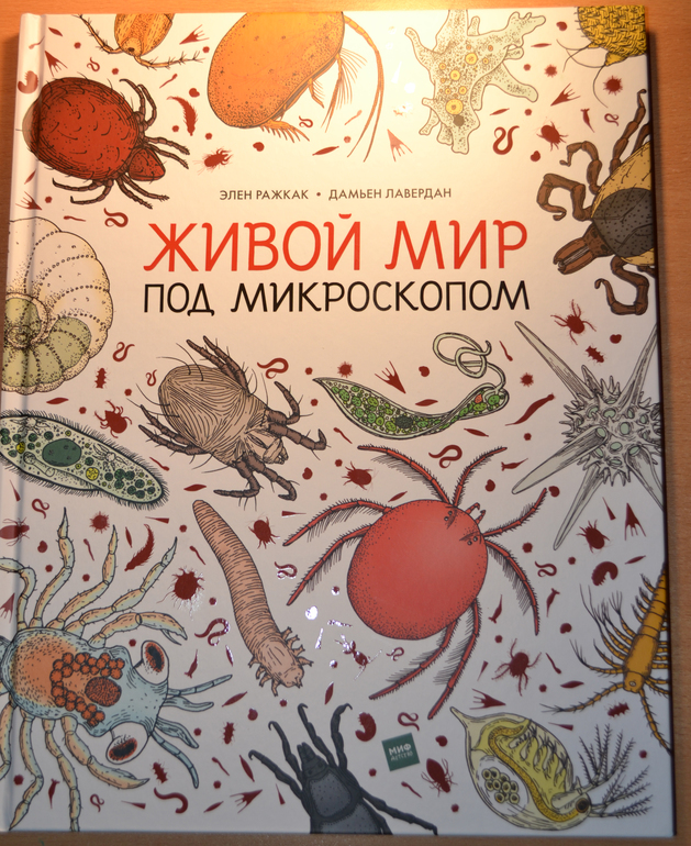 Живой мир под микроскопом — 9 ответов | форум Babyblog