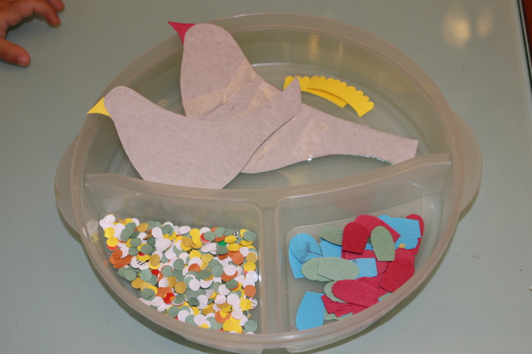 Птичья неделя. Много фото