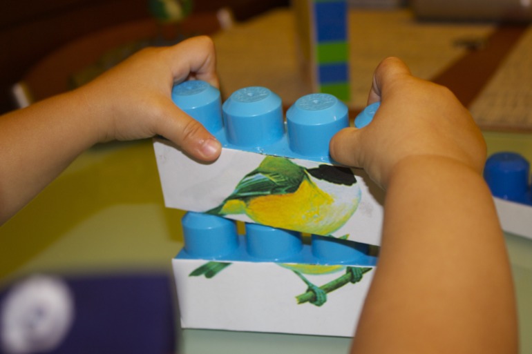 Птичья неделя. Много фото