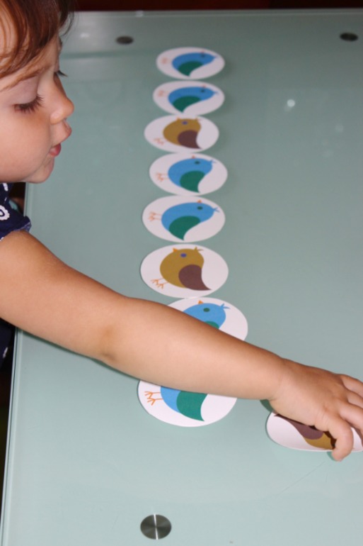 Птичья неделя. Много фото