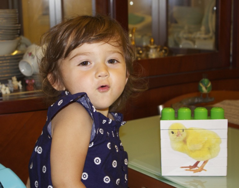 Птичья неделя. Много фото — 8 ответов на Babyblog