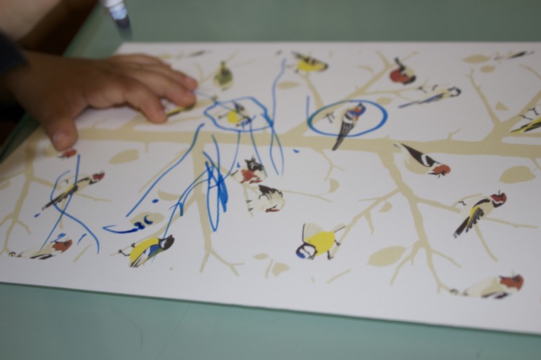 Птичья неделя. Много фото