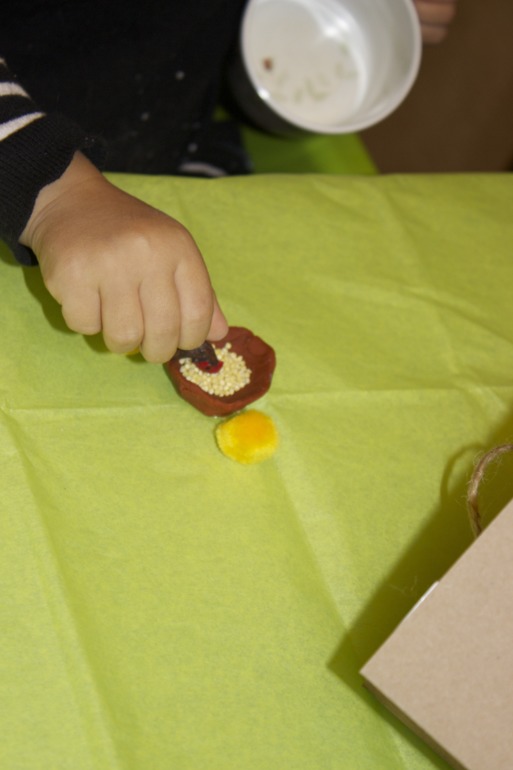 Птичья неделя. Много фото